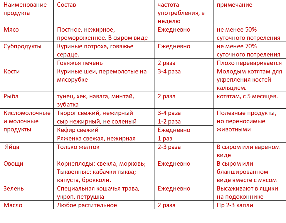 Таблица кормления котят до 2 месяцев. Рацион кормления котенка 1 месяца. Кормление 2 месячного котенка. Таблица кормления месячного котенка.