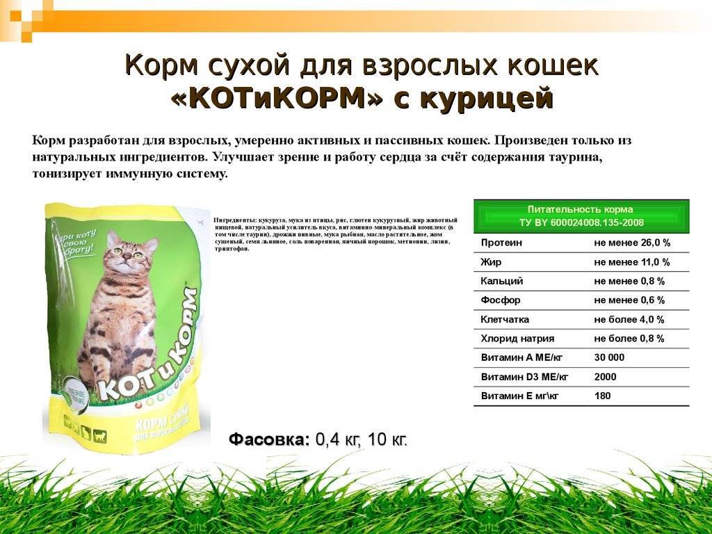 Сухой корм для кошек: обзор по видам, какой самый лучший по отзывам ветеринаров (рейтинг 2018)