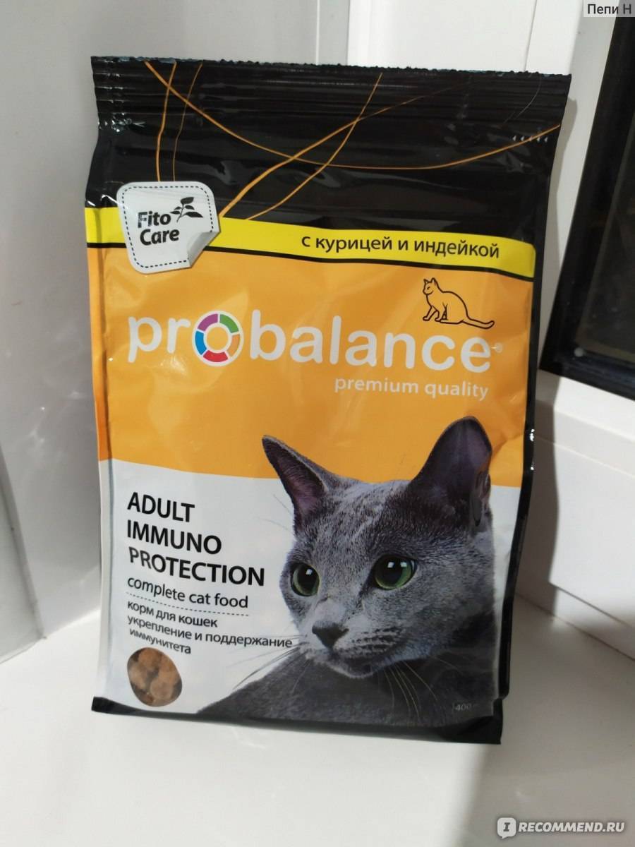 ᐉ обзор корма для кошек probalance - ➡ motildazoo.ru