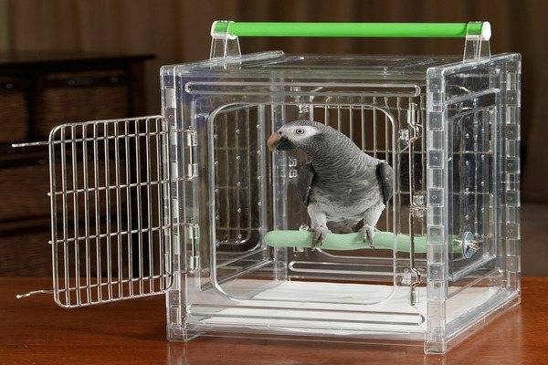 Игрушки для попугаев своими руками (20 фото): как сделать их из подручных материалов для волнистых и других видов попугаев?