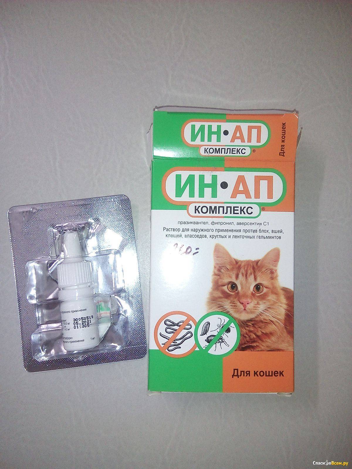 Ин-ап комплекс для кошек, инструкция по применению противопаразитарных капель