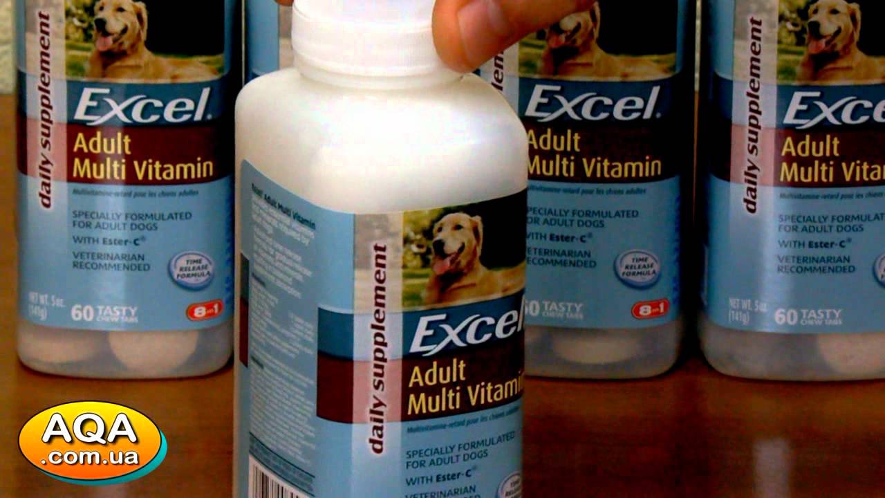 Популярная витаминная добавка бреверсы 8 in 1 для собак: порядок применения