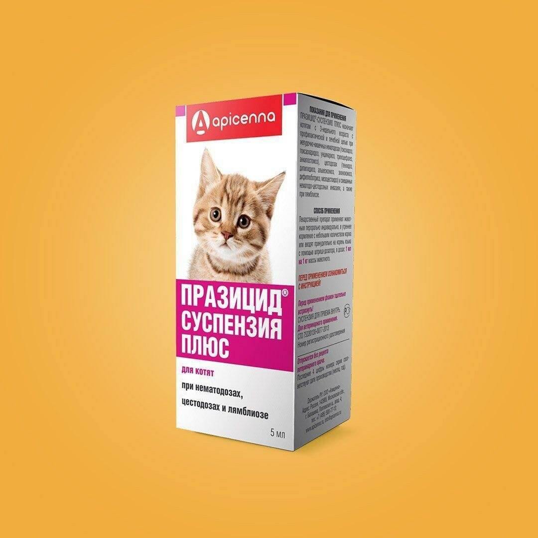 Празицид для кошек – инструкция и характеристика препарата