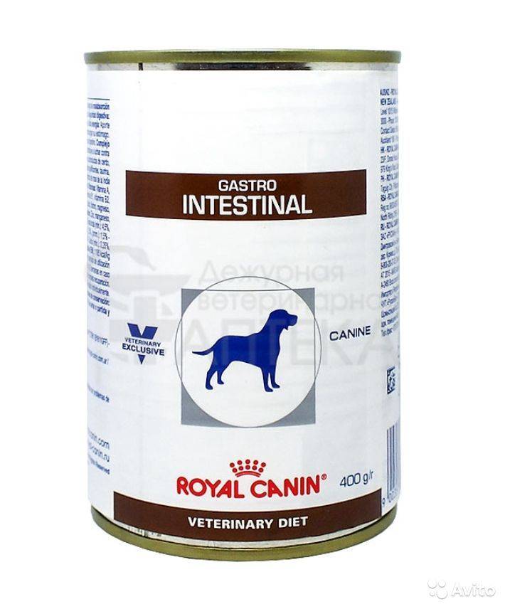 Сухие корма для собак интестинал. Роял Канин гастро Интестинал для собак. Роял Канин гастро Интестинал для кошек. Роял Канин для собак гастро Интестинал сухой. Royal Canin Gastrointestinal для собак консервы.