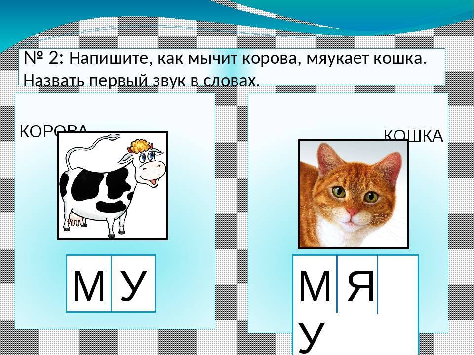 Кошка мяукает: причины и способы решения проблемы.