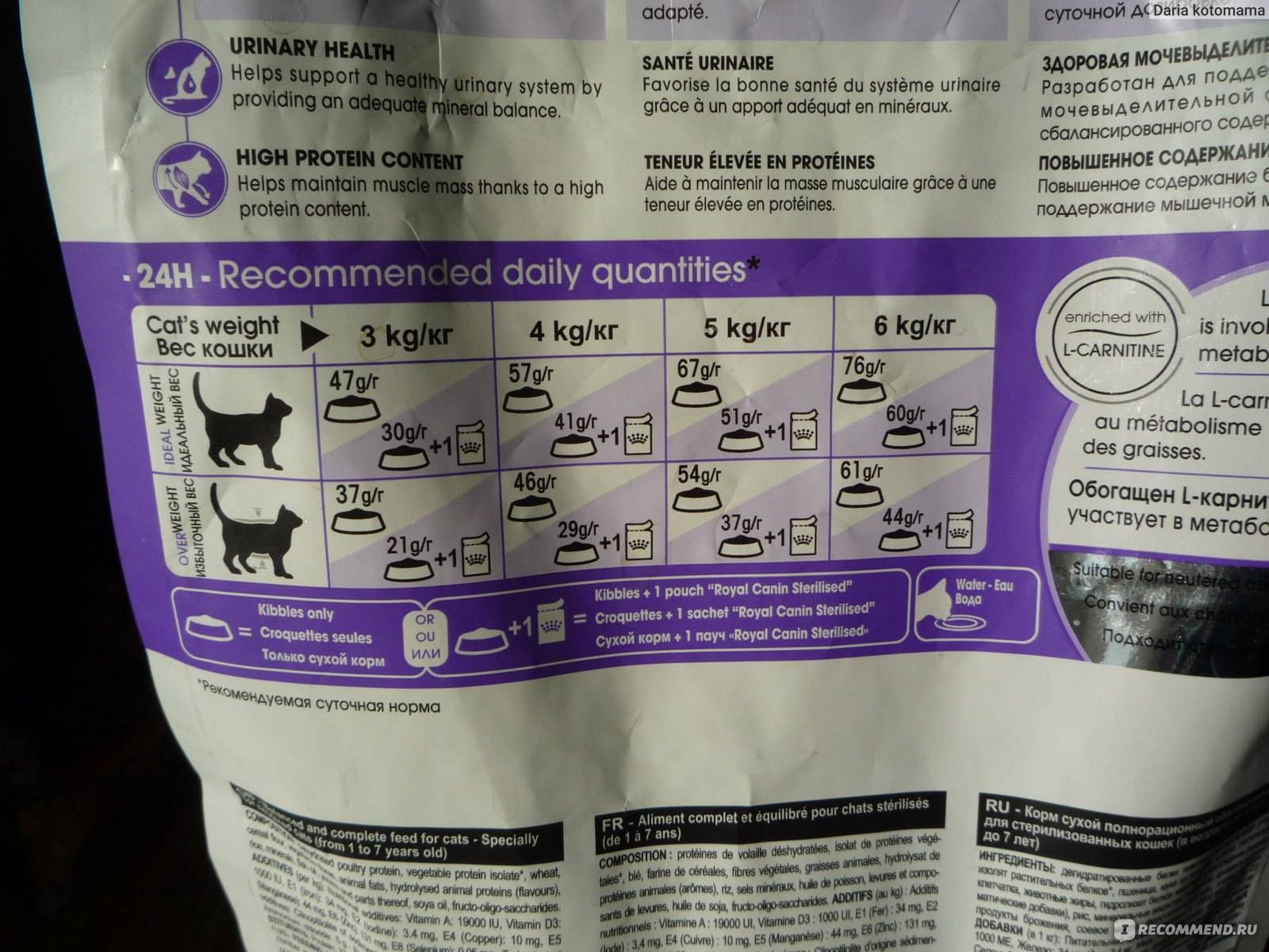 Чем правильно кормить кошку: советы ветеринаров. какой рацион должен быть у кормящей кошки?