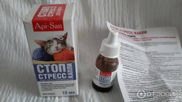 Успокоительное для кошек: домашние средства, таблетки, капли | сайт «мурло»
