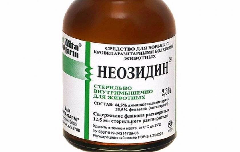 Неозидин: инструкция по применению препарата  (neosidini) для собак, лошадей, крс, овец и др. животных