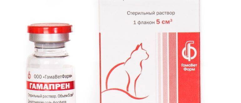 Гамавит для кошек – иммунитет в норме