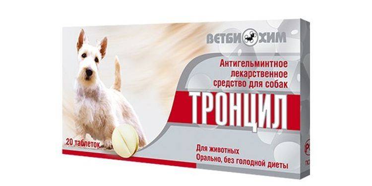 Тронцил для собак: характеристика препарата и его применение