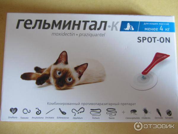 Гельминтал для кошек: инструкция по применению, формы выпуска и возможные побочные эффекты