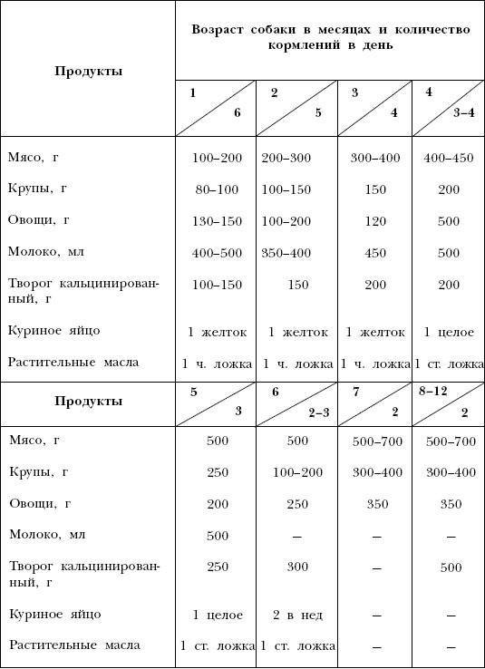 Какой кашей кормить собаку доберман