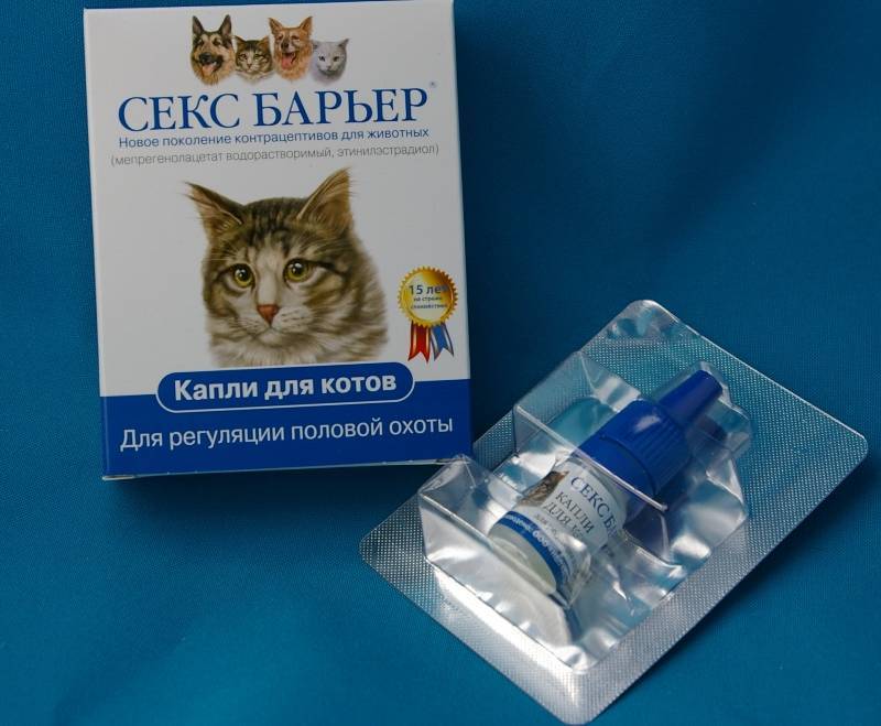 Контрацептивы для кошек: таблетки, иньекции, капли