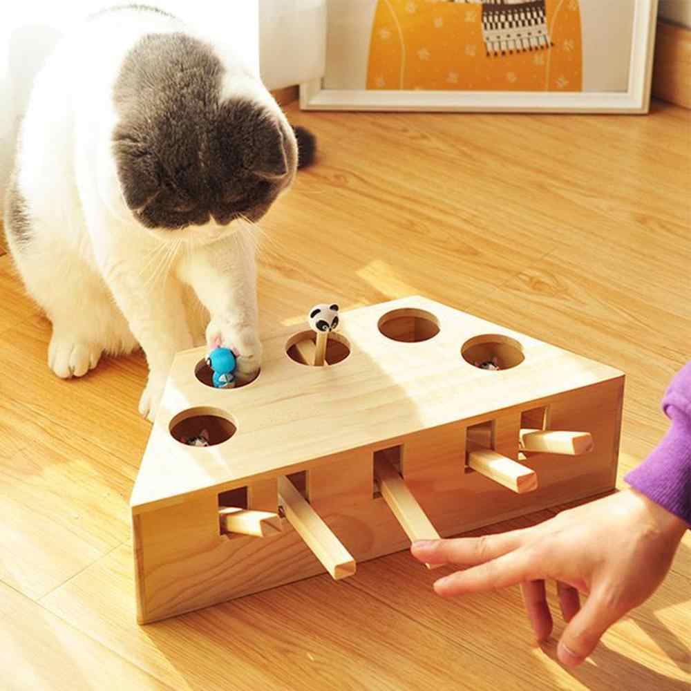 Правильные игрушки для кошек своими руками в домашних условиях