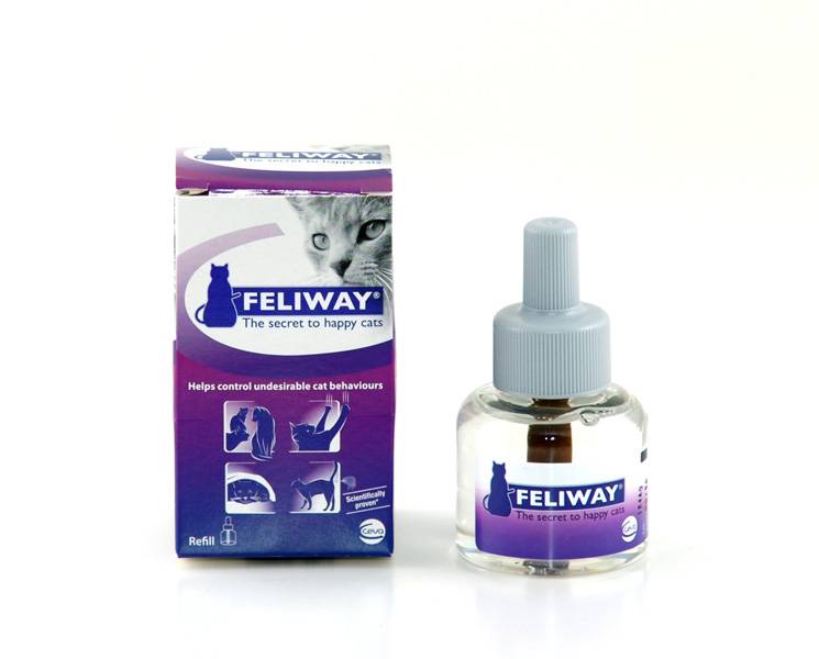 Феливей (feliway) — средство для коррекции поведения кошек в домашних условиях, правила применения, отзывы