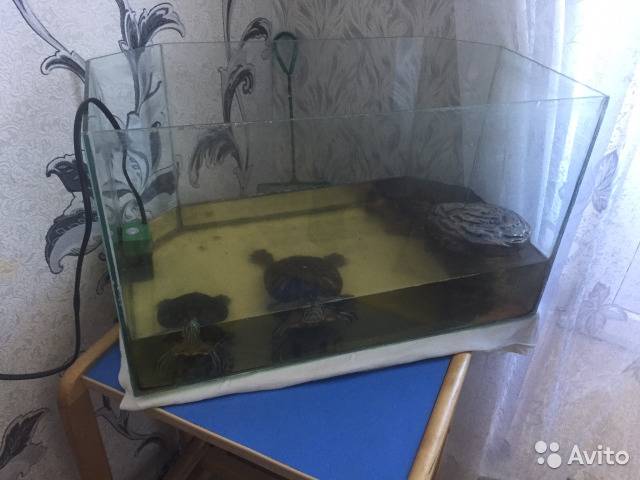 Фильтры для воды в аквариум с красноухой черепахой