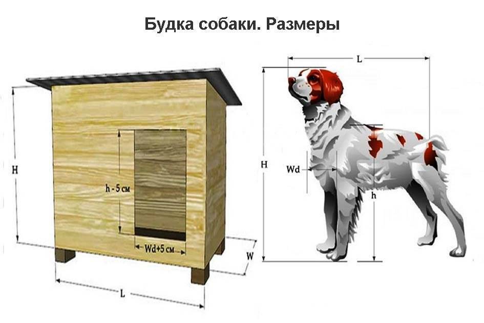 Будка для собаки своими руками: фото, видео, чертежи, пошаговая инструкция