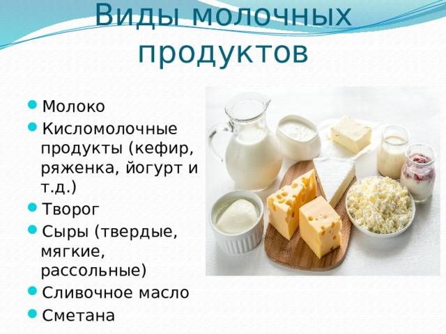 Молочное в рационе хомяка (сыр, молоко, сметана…)