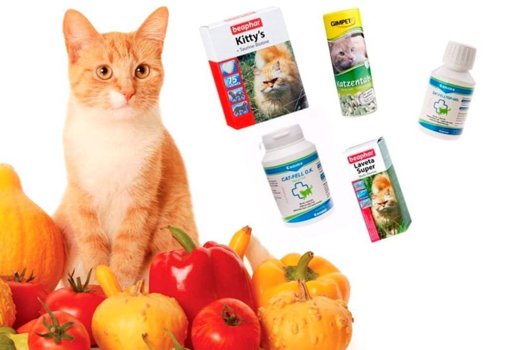 Топ-10 лучших витаминов для кошек – рейтинг 2022 года