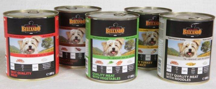 Кормление собаки кормами. что лучше выбрать: сухой корм или консервы для собак?