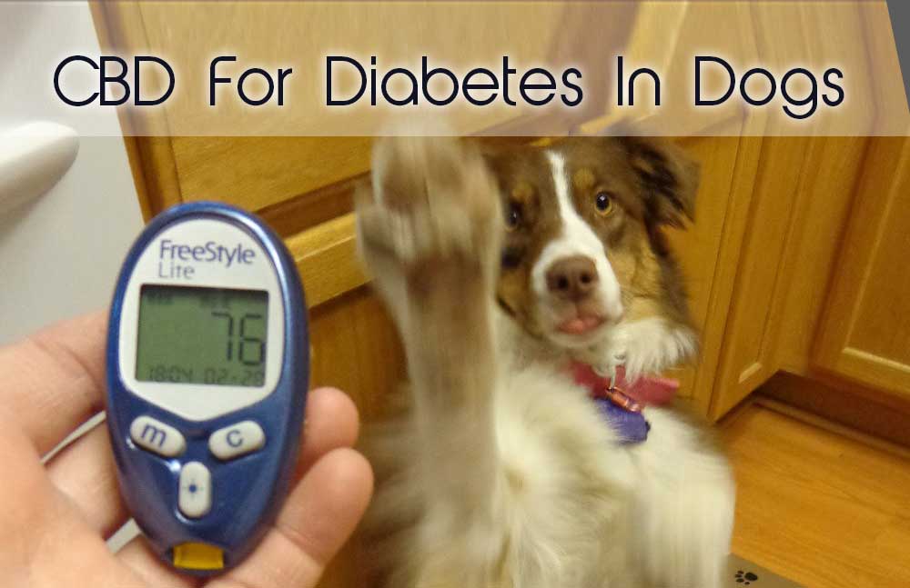 Диагноз: сахарный диабет. симптомы, осложнения и лечение | университетская клиника