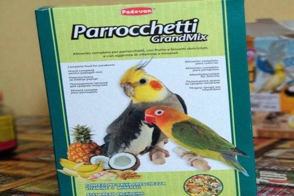 Витамины для попугаев (волнистых, корелла, неразлучников): какие нужны, как правильно давать, отзывы