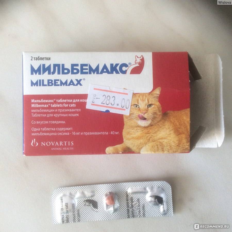Мильбемакс для кошек и котов