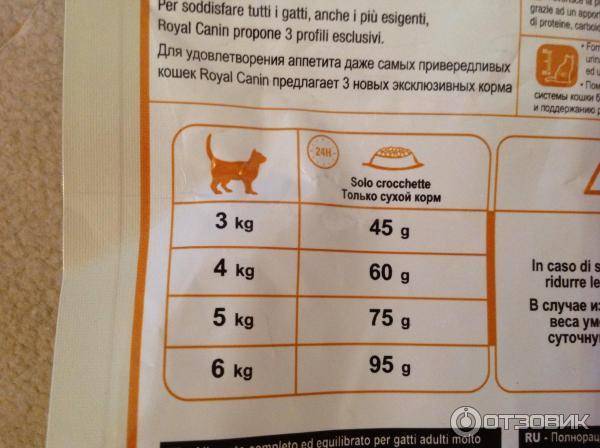 Чем и как правильно кормить кошку