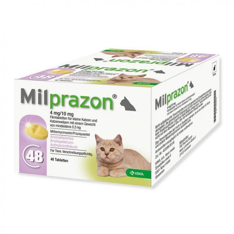 Милпразон для кошек: инструкция по применению, направленность действия, эффективность