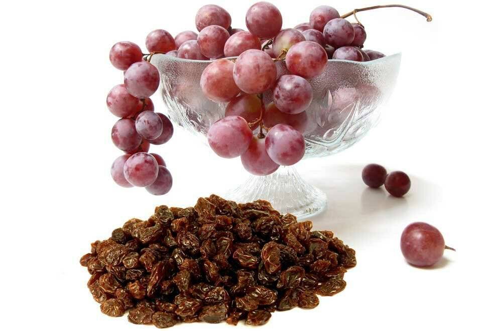 Можно ли хомякам давать виноград и виноградные косточки