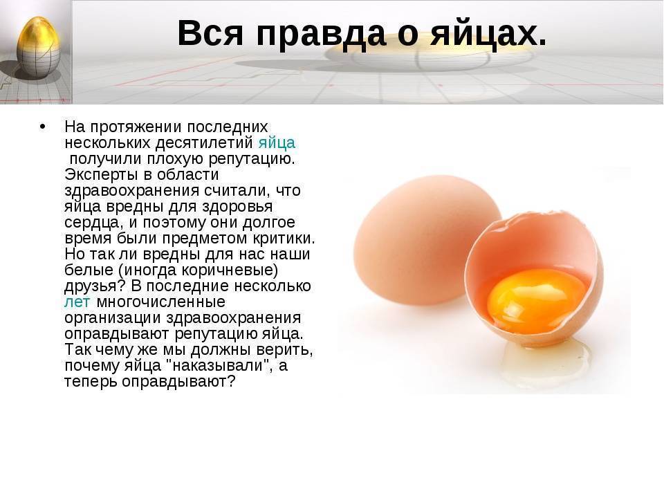 ᐉ можно ли крысе яйцо вареное и сырое (белок и желток) - zoopalitra-spb.ru