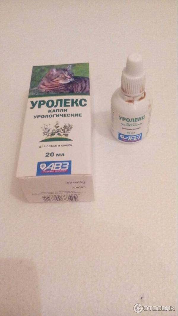 Уролекс для собак: инструкция по применению, состав и схема лечения