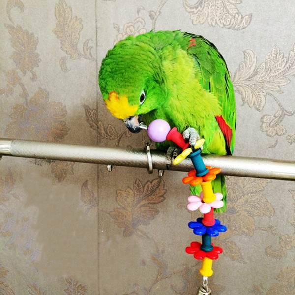 Как подобрать игрушки для волнистых попугаев?