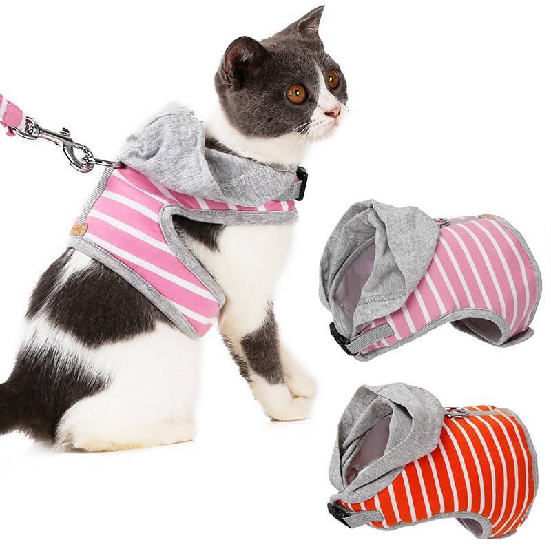 Шлейка, ошейник и поводок для кошки или кота: как сделать своими руками, особенности изготовления для котят и взрослых животных