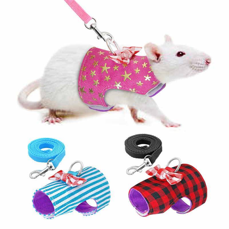 Игрушки для крыс: виды, советы по выбору и созданию
