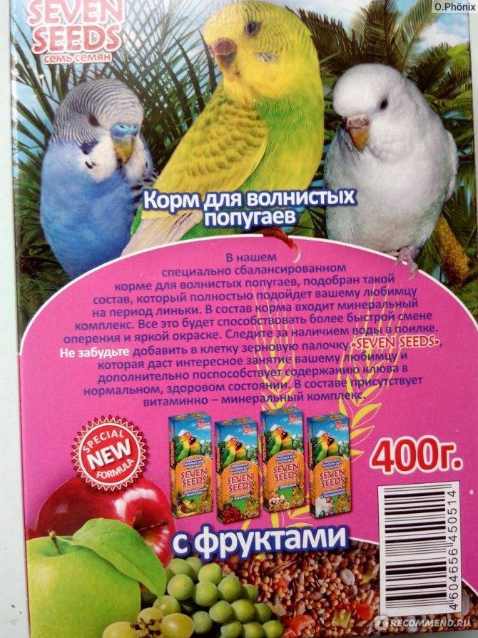 Что едят волнистые попугаи и чем можно кормить питомцев в домашних условиях