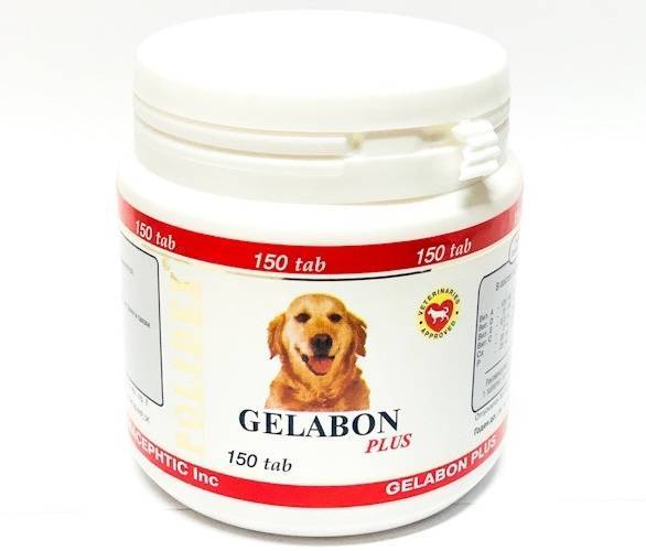 Как давать щенку гелабон