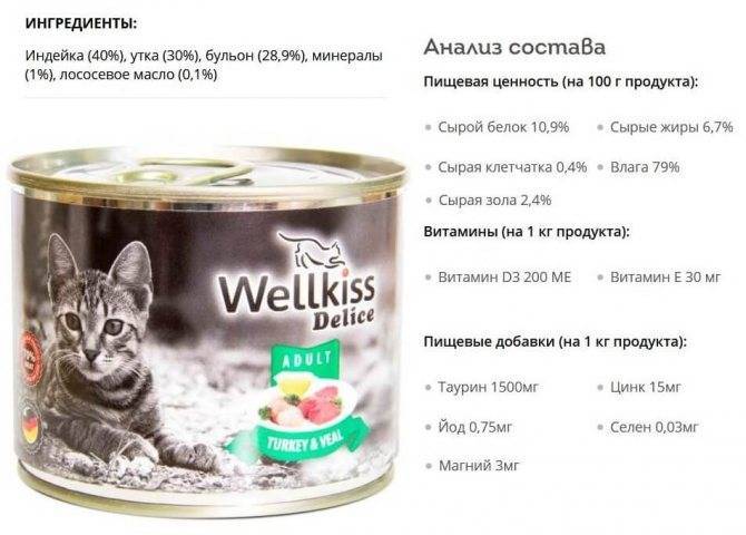 Лучшие беззерновые корма для кошек: топ 10 марок + отзывы