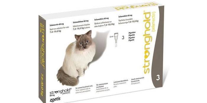 Стронгхолд для кошек: инструкция по применению капель на основе селамектина для взрослых животных и котят, отзывы, аналоги