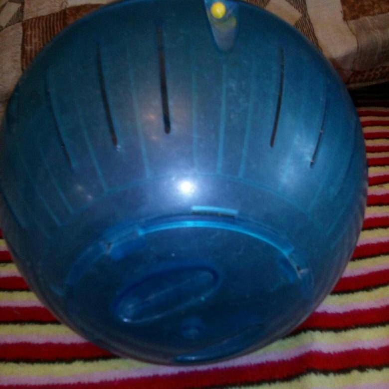 Как сделать шар для хомяка своими руками? :: syl.ru