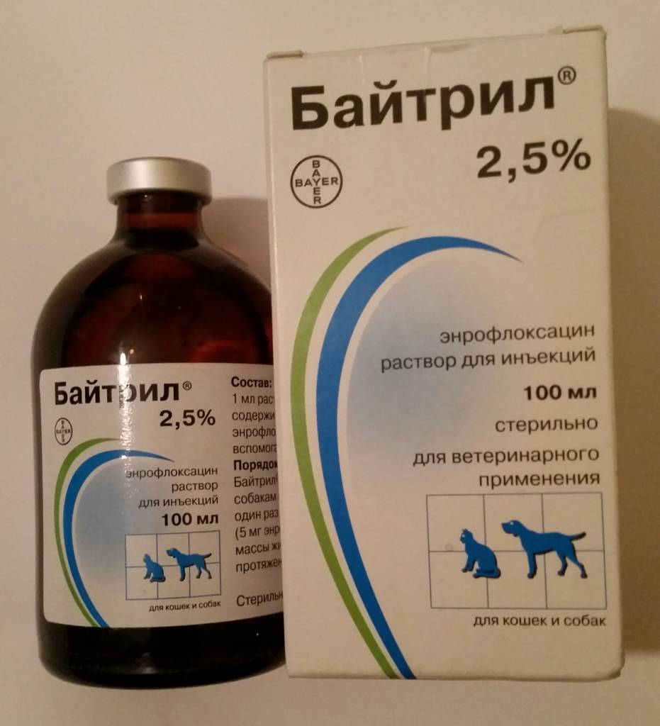 Байтрил для собак: инструкция по применению с дозировкой раствора для уколов и таблеток. можно ли давать антибиотик при цистите и щенкам от поноса?