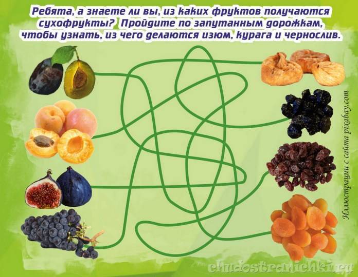 Какие фрукты можно хомякам, а от употребления чего стоит воздержаться