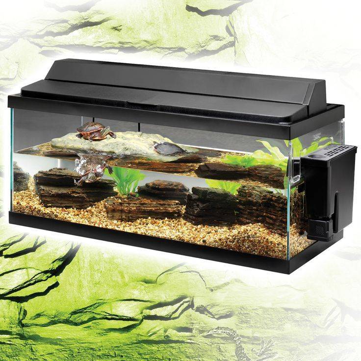 Аквариумный фильтр - все о черепахах и для черепах. создание аквариума для черепах с берегом из контейнера