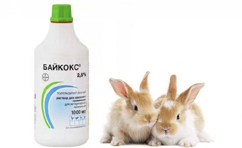 От чего применяется байкокс для кроликов?