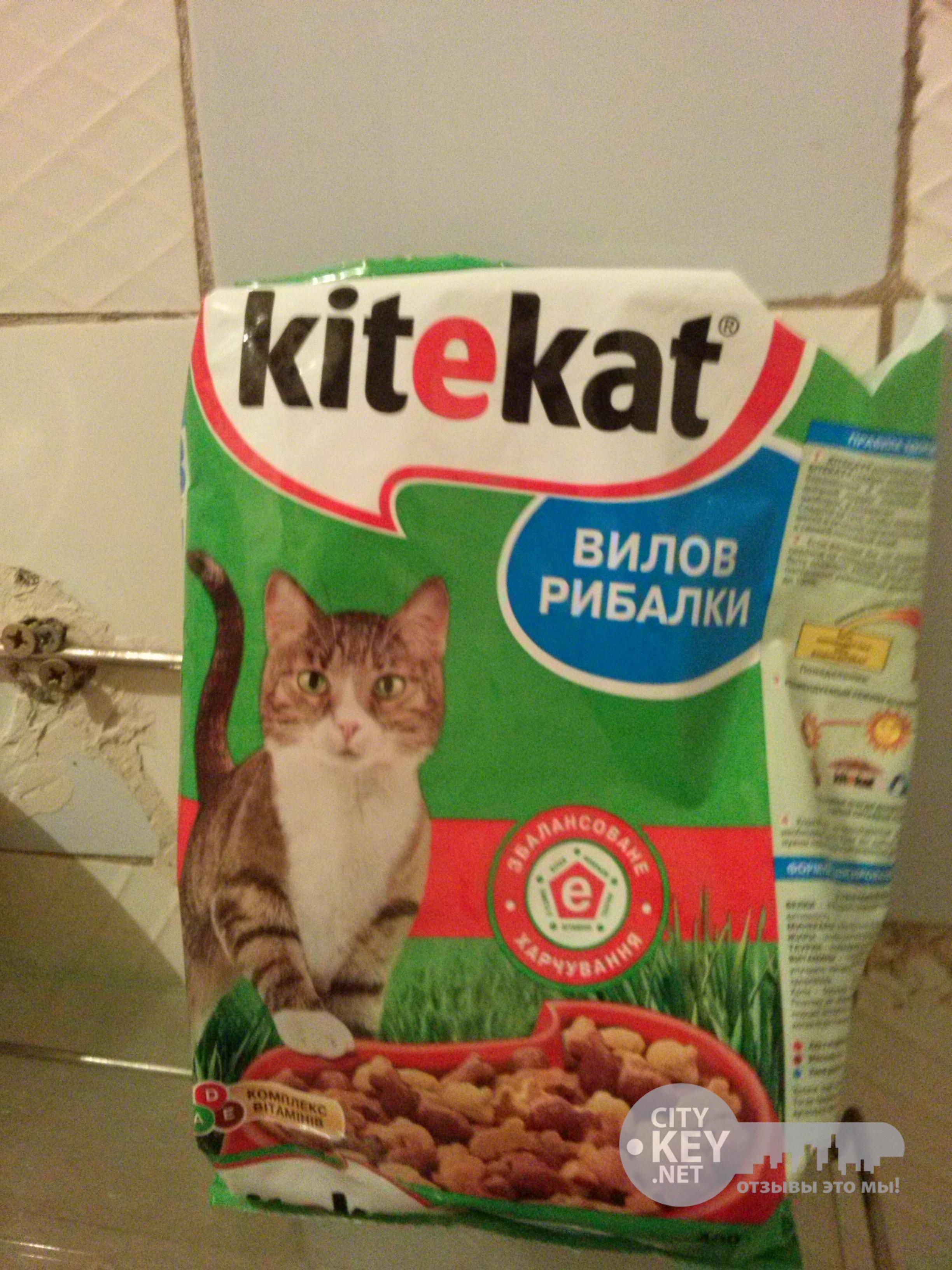"китекат": отзывы ветеринаров и владельцев животных, состав корма, виды