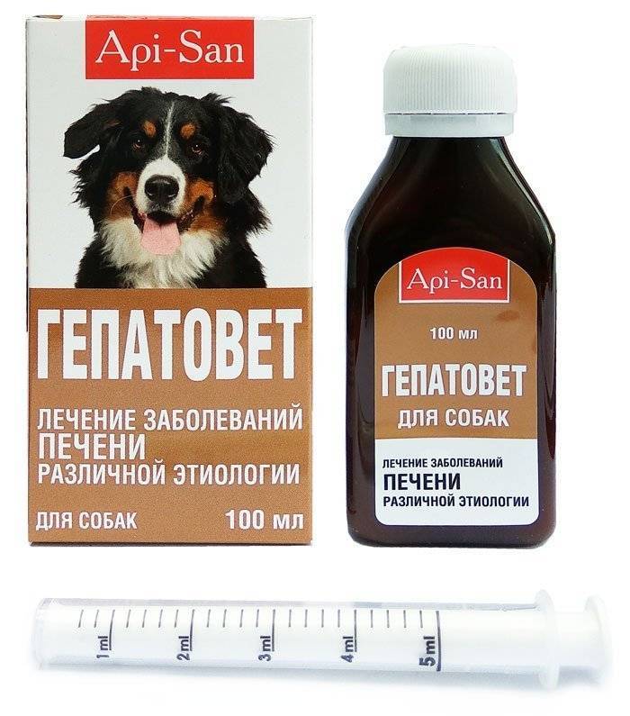 Гепатовет (суспензия) для кошек и собак | отзывы о применении препаратов для животных от ветеринаров и заводчиков