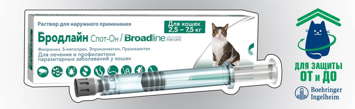 Капли на холку от глистов для кошек – эффективность, техника нанесения, обзор препаратов
