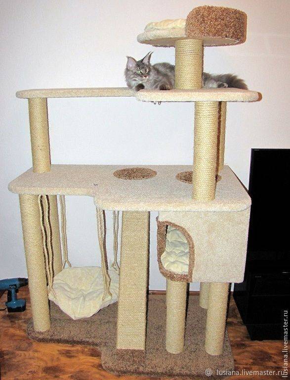 Лабиринт для кошек из коробок: домик-лабиринт как игровой комплекс из картона, картонные игровые зоны котятам своими руками