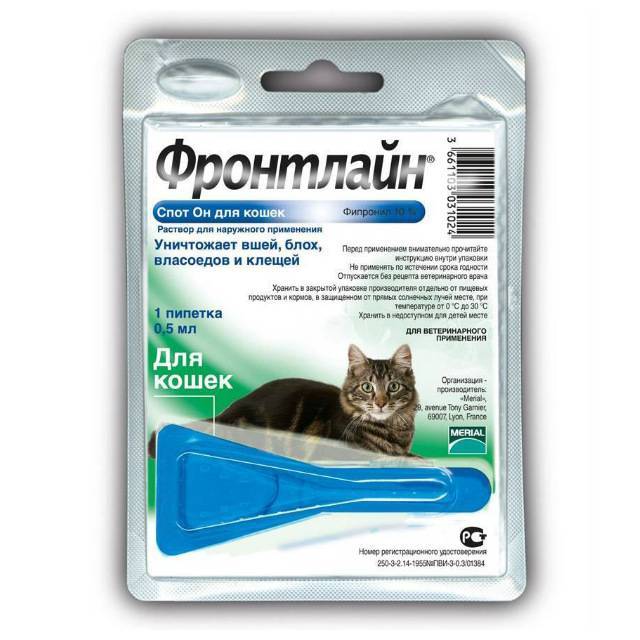 Капли от блох для кошек: особенности препаратов и лучшие производители