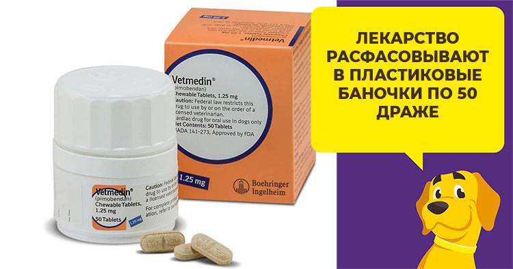 Инструкция по применению препарата ветмедин для собак